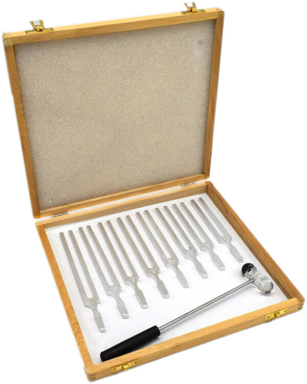 Physics Tuning Forks Set – 8-Piece Acoustic Kit - Image 1